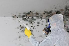 Best HVAC Mold Inspection and Cleaning in Madison, IN